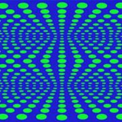 The December Sound : Kill Me The December Sound : Kill Me